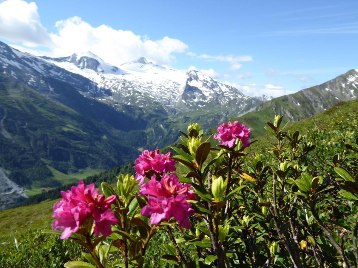 Appartamento Alpenrose Tux Esterno foto